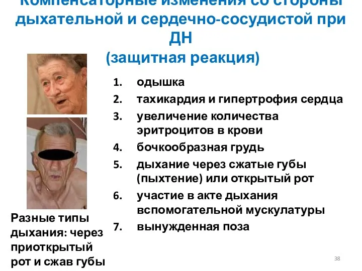 Компенсаторные изменения со стороны дыхательной и сердечно-сосудистой при ДН (защитная реакция)