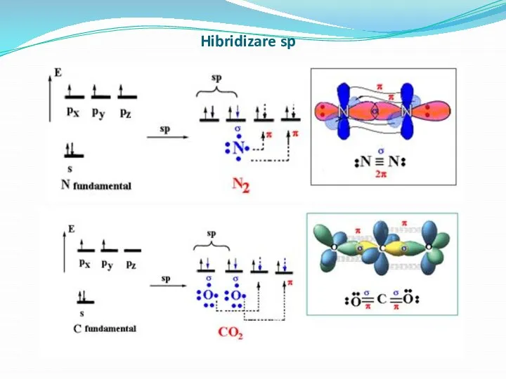 Hibridizare sp