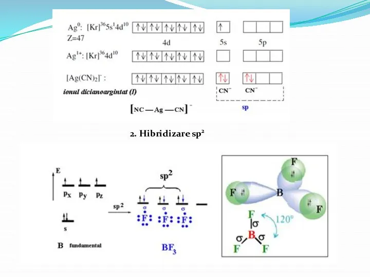 2. Hibridizare sp2