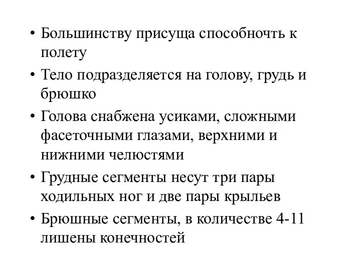 Большинству присуща способночть к полету Тело подразделяется на голову, грудь и