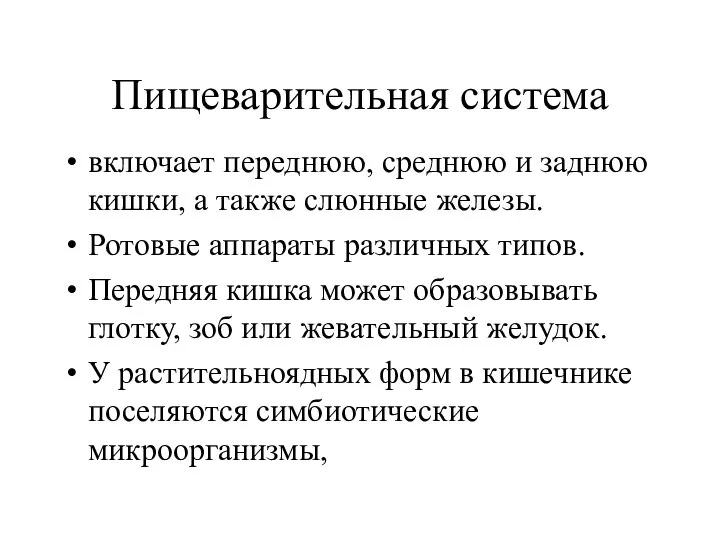 Пищеварительная система включает переднюю, среднюю и заднюю кишки, а также слюнные