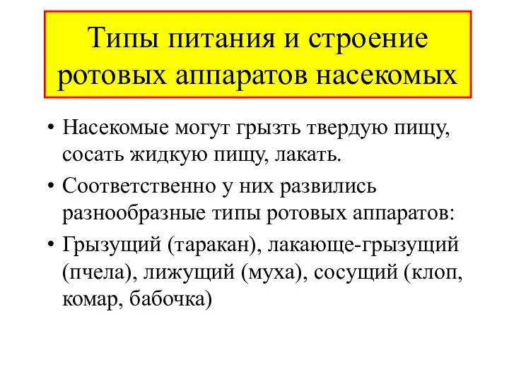 Типы питания и строение ротовых аппаратов насекомых Насекомые могут грызть твердую