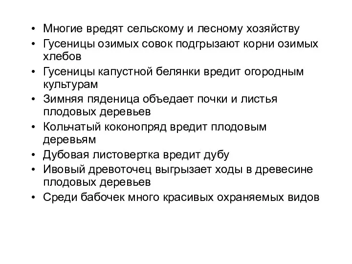 Многие вредят сельскому и лесному хозяйству Гусеницы озимых совок подгрызают корни