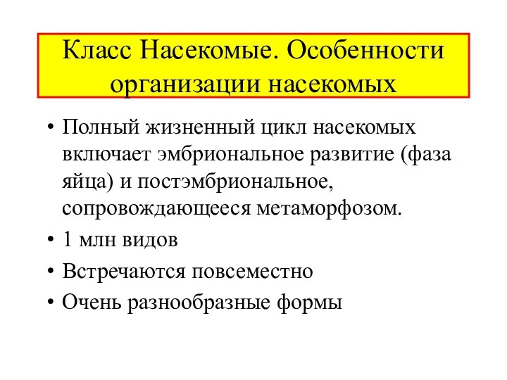 Класс Насекомые. Особенности организации насекомых Полный жизненный цикл насекомых включает эмбриональное