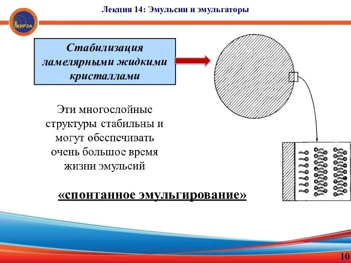 10 Лекция 14: Эмульсии и эмульгаторы Стабилизация ламелярными жидкими кристаллами «спонтанное эмульгирование»