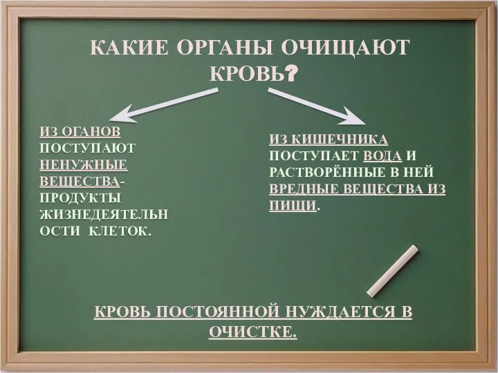 КАКИЕ ОРГАНЫ ОЧИЩАЮТ КРОВЬ? ИЗ ОГАНОВ ПОСТУПАЮТ НЕНУЖНЫЕ ВЕЩЕСТВА- ПРОДУКТЫ ЖИЗНЕДЕЯТЕЛЬНОСТИ