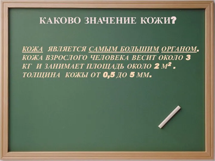 КАКОВО ЗНАЧЕНИЕ КОЖИ? КОЖА ЯВЛЯЕТСЯ САМЫМ БОЛЬШИМ ОРГАНОМ. КОЖА ВЗРОСЛОГО ЧЕЛОВЕКА