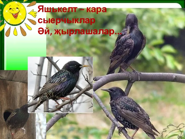 Яшькелт – кара сыерчыклар Әй, җырлашалар...