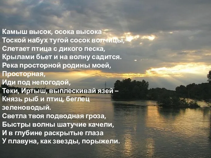 Камыш высок, осока высока Тоской набух тугой сосок волчицы, Слетает птица