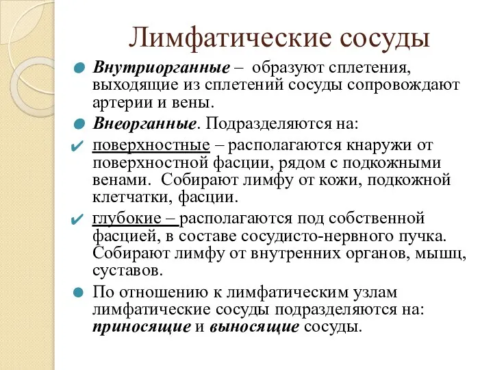 Лимфатические сосуды Внутриорганные – образуют сплетения, выходящие из сплетений сосуды сопровождают