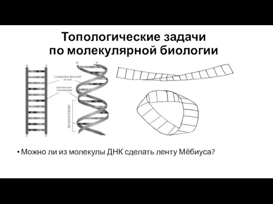 Топологические задачи по молекулярной биологии Можно ли из молекулы ДНК сделать ленту Мёбиуса?