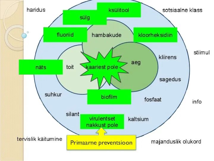 Primaarne preventsioon