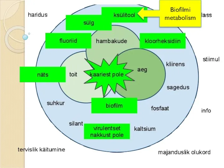 Biofilmi metabolism