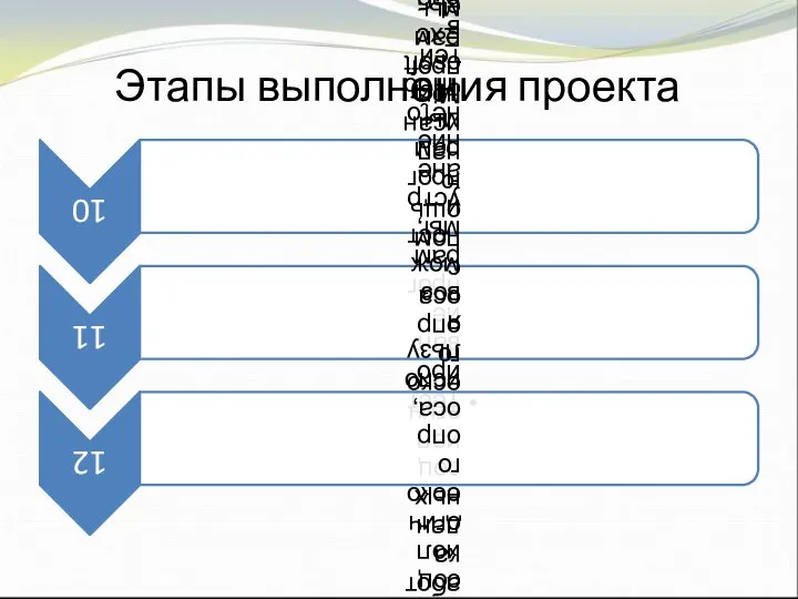 Этапы выполнения проекта