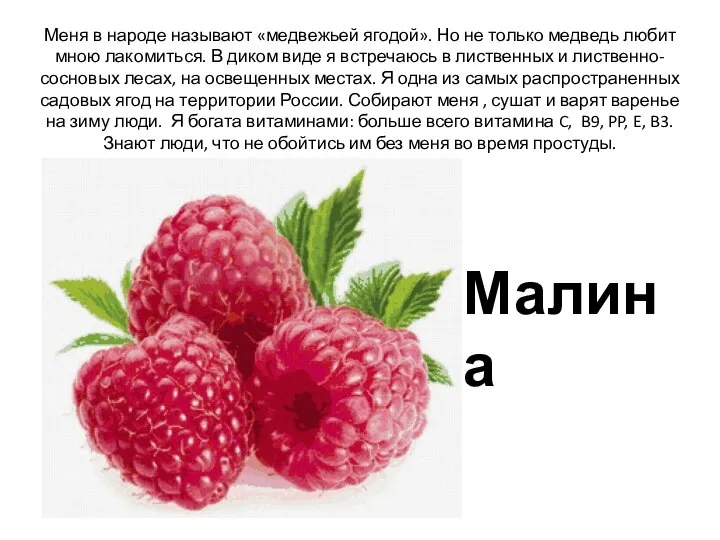 Меня в народе называют «медвежьей ягодой». Но не только медведь любит