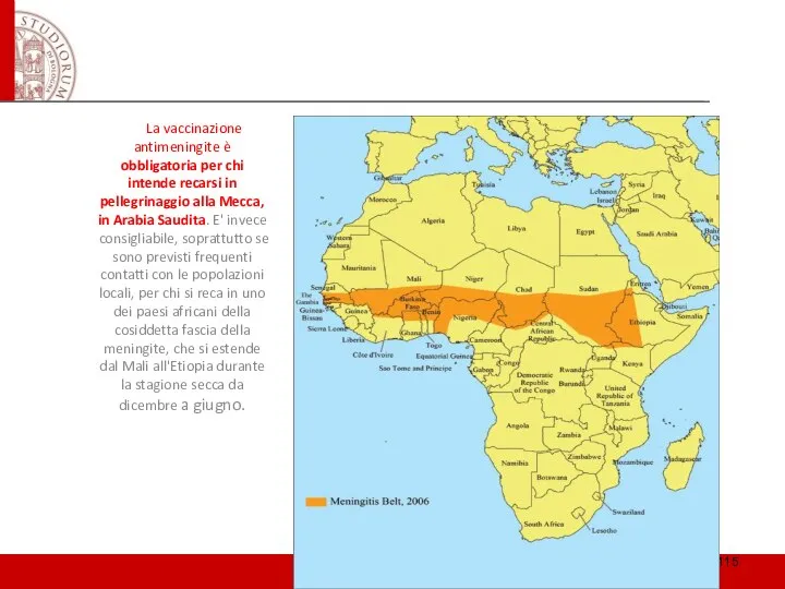 La vaccinazione antimeningite è obbligatoria per chi intende recarsi in pellegrinaggio