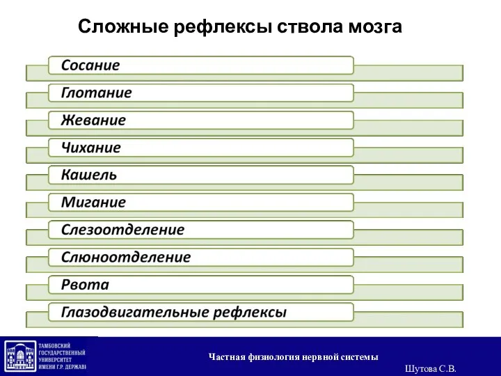 Сложные рефлексы ствола мозга Частная физиология нервной системы Шутова С.В.