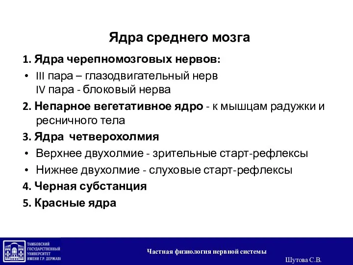 Ядра среднего мозга 1. Ядра черепномозговых нервов: III пара – глазодвигательный