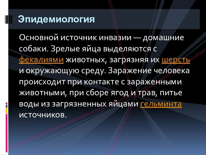 Основной источник инвазии — домашние собаки. Зрелые яйца выделяются с фекалиями