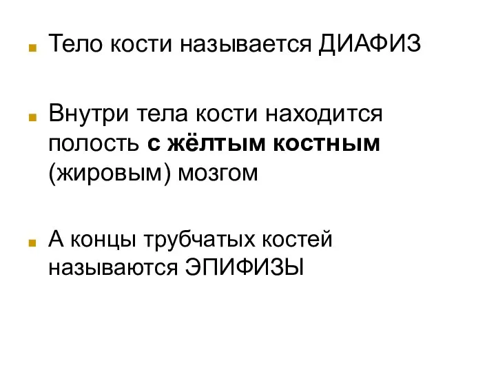 Тело кости называется ДИАФИЗ Внутри тела кости находится полость с жёлтым