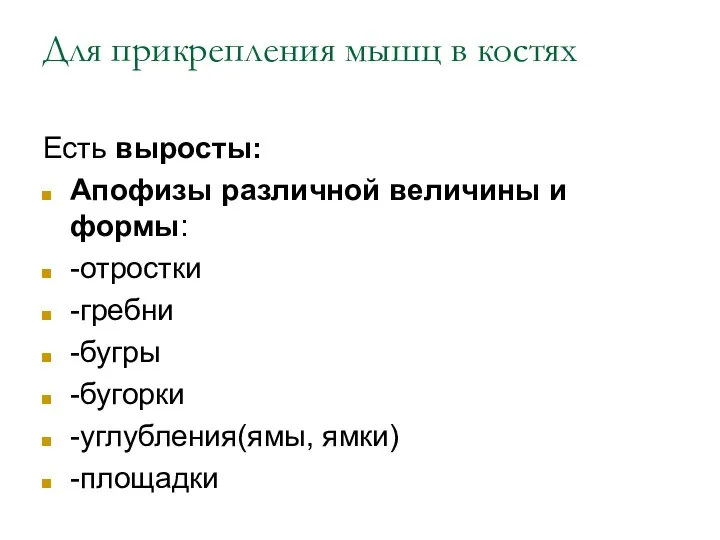 Для прикрепления мышц в костях Есть выросты: Апофизы различной величины и