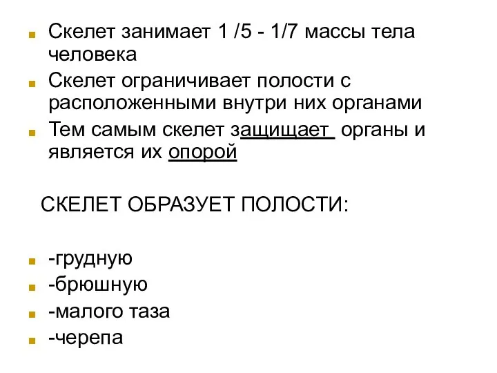 Скелет занимает 1 /5 - 1/7 массы тела человека Скелет ограничивает