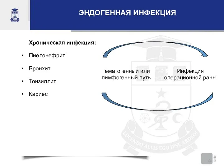 ЭНДОГЕННАЯ ИНФЕКЦИЯ Хроническая инфекция: Пиелонефрит Бронхит Тонзиллит Кариес Инфекция операционной раны Гематогенный или лимфогенный путь