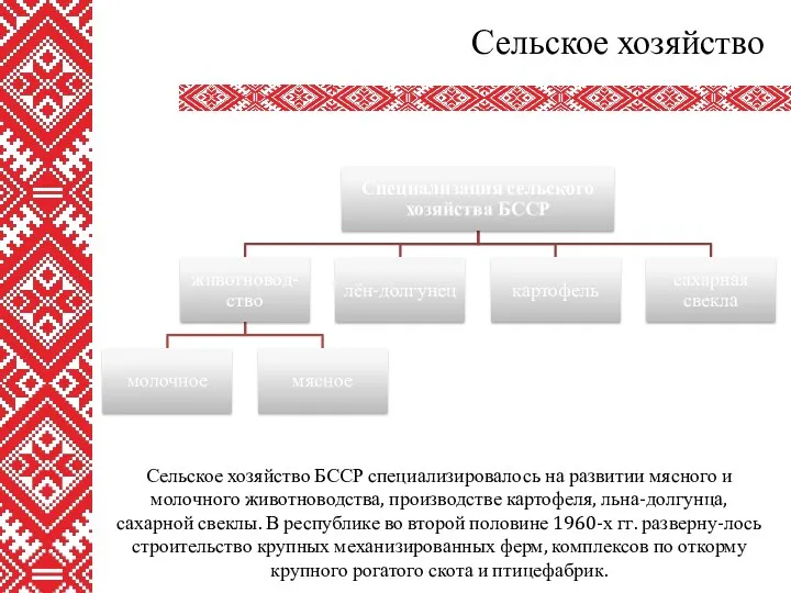 Сельское хозяйство Сельское хозяйство БССР специализировалось на развитии мясного и молочного