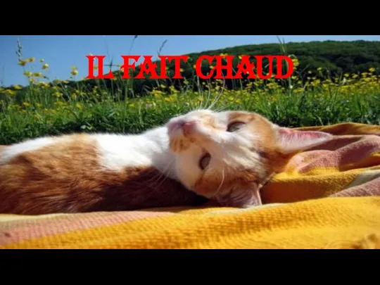 Il fait chaud