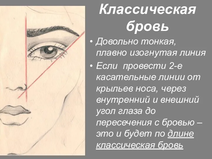 Классическая бровь Довольно тонкая, плавно изогнутая линия Если провести 2-е касательные