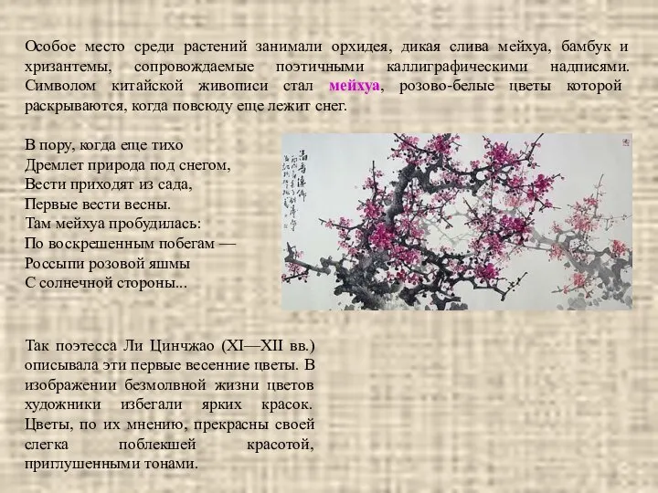 Особое место среди растений занимали орхидея, дикая слива мейхуа, бамбук и