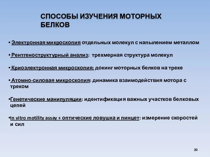 СПОСОБЫ ИЗУЧЕНИЯ МОТОРНЫХ БЕЛКОВ Электронная микроскопия отдельных молекул с напылением металлом