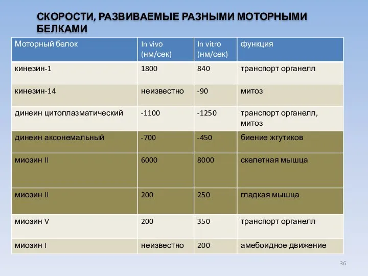 СКОРОСТИ, РАЗВИВАЕМЫЕ РАЗНЫМИ МОТОРНЫМИ БЕЛКАМИ