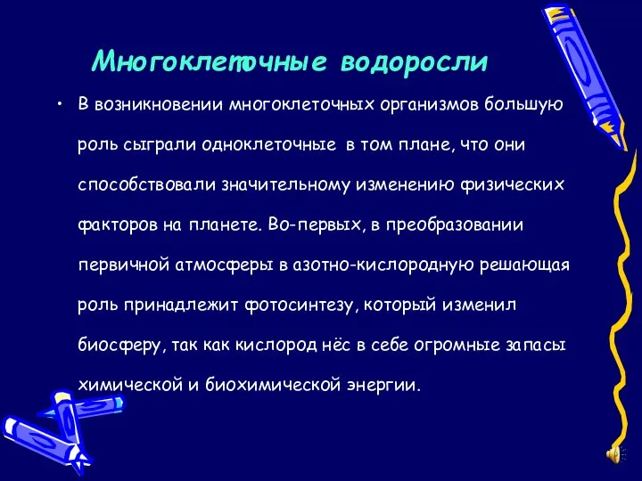 Многоклеточные водоросли В возникновении многоклеточных организмов большую роль сыграли одноклеточные в