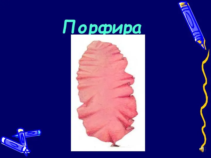 Порфира