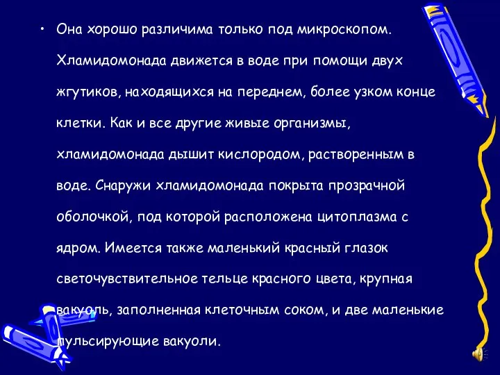 Она хорошо различима только под микроскопом. Хламидомонада движется в воде при