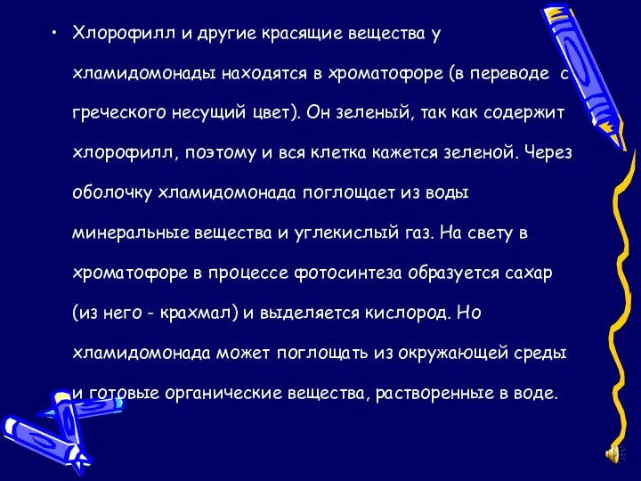 Хлорофилл и другие красящие вещества у хламидомонады находятся в хроматофоре (в