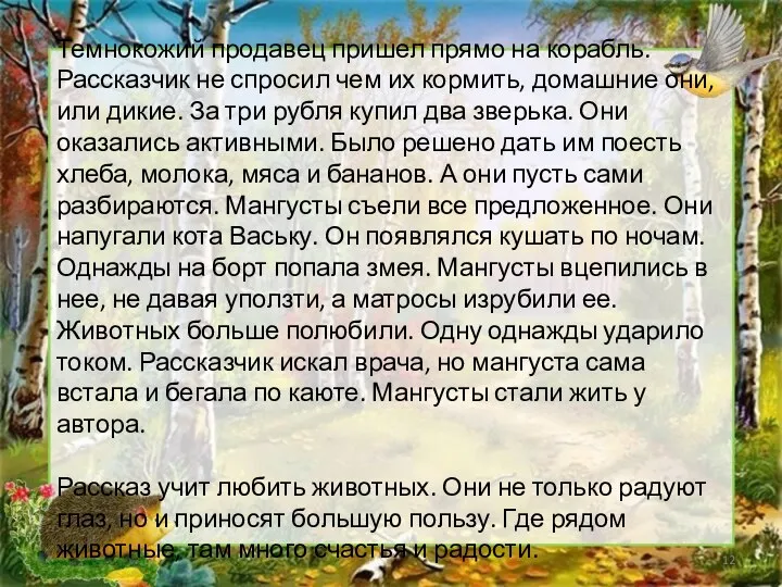 * Темнокожий продавец пришел прямо на корабль. Рассказчик не спросил чем