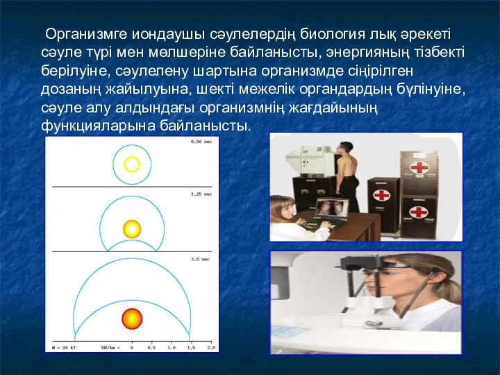 Организмге иондаушы сәулелердің биология лық әрекеті сәуле түрі мен мөлшеріне байланысты,