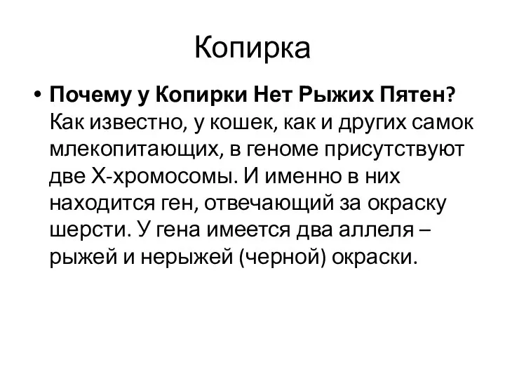 Копирка Почему у Копирки Нет Рыжих Пятен? Как известно, у кошек,