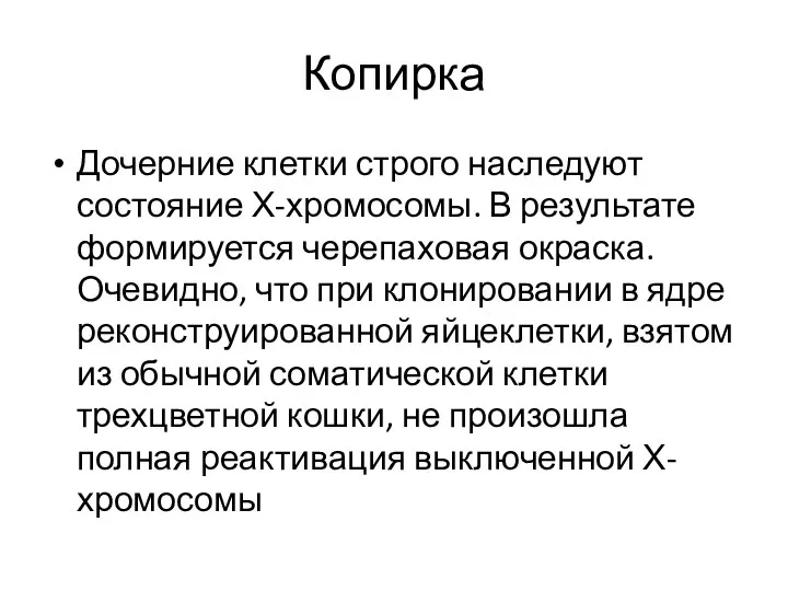 Копирка Дочерние клетки строго наследуют состояние Х-хромосомы. В результате формируется черепаховая