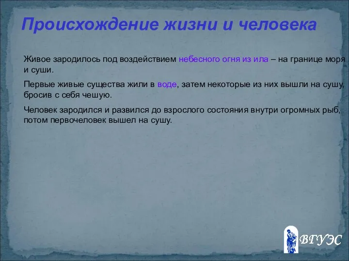 Живое зародилось под воздействием небесного огня из ила – на границе