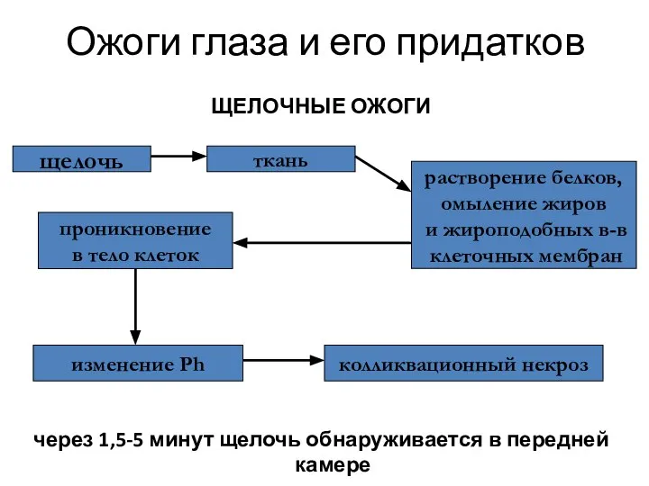 Ожоги глаза и его придатков ЩЕЛОЧНЫЕ ОЖОГИ через 1,5-5 минут щелочь