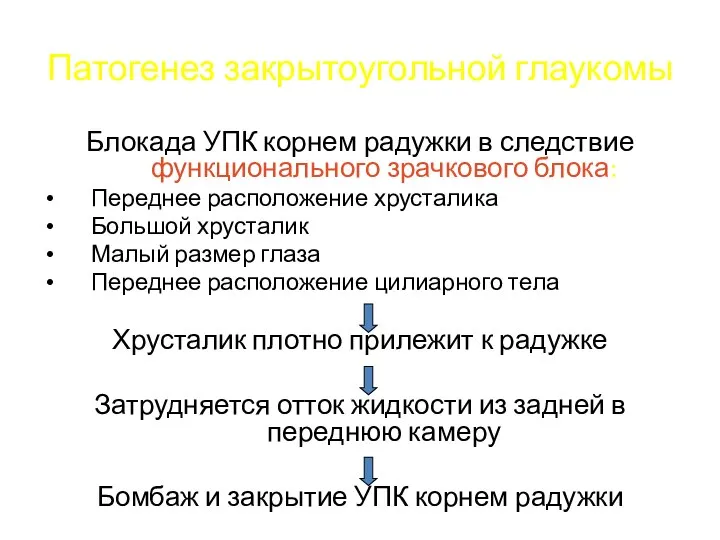 Патогенез закрытоугольной глаукомы Блокада УПК корнем радужки в следствие функционального зрачкового