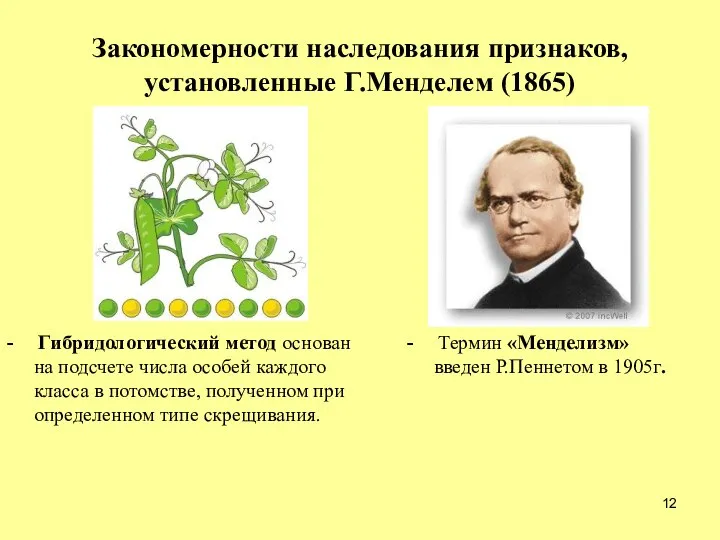 Закономерности наследования признаков, установленные Г.Менделем (1865) - Гибридологический метод основан на