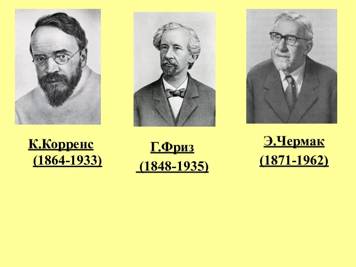 Э.Чермак (1871-1962) Г.Фриз (1848-1935) К.Корренс (1864-1933)