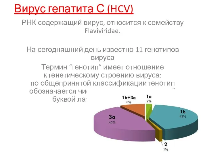 Вирус гепатита С (HCV) РНК содержащий вирус, относится к семейству Flaviviridae.