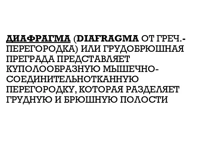 ДИАФРАГМА (DIAFRAGMA ОТ ГРЕЧ.- ПЕРЕГОРОДКА) ИЛИ ГРУДОБРЮШНАЯ ПРЕГРАДА ПРЕДСТАВЛЯЕТ КУПОЛООБРАЗНУЮ МЫШЕЧНО-СОЕДИНИТЕЛЬНОТКАННУЮ