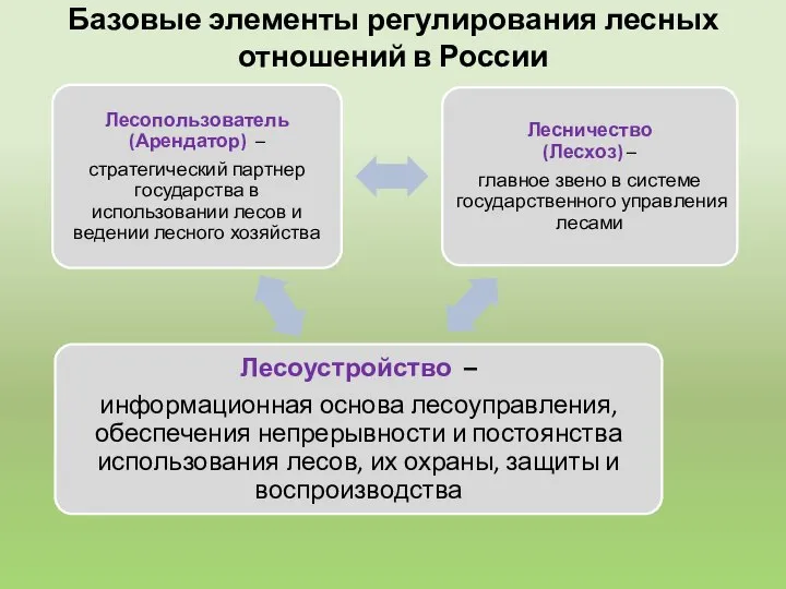 Базовые элементы регулирования лесных отношений в России