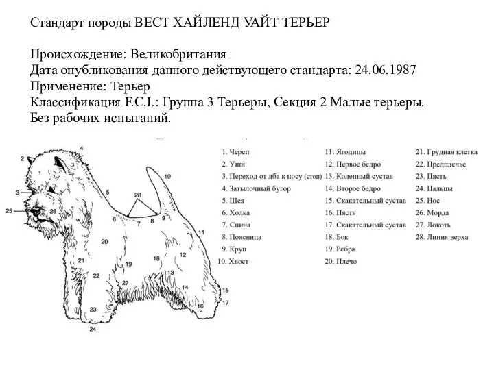 Стандарт породы ВЕСТ ХАЙЛЕНД УАЙТ ТЕРЬЕР Происхождение: Великобритания Дата опубликования данного